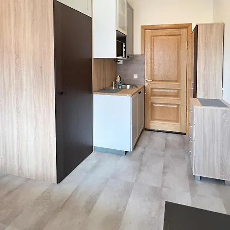 Kliniku Apartamentai Kaunas
